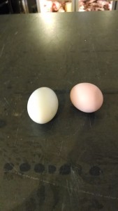 Two-eggs