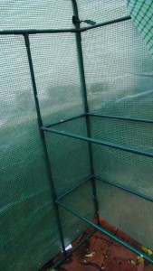 Greenhouse inside